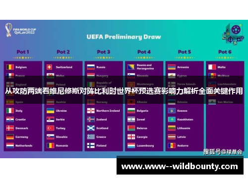 从攻防两端看维尼修斯对阵比利时世界杯预选赛影响力解析全面关键作用