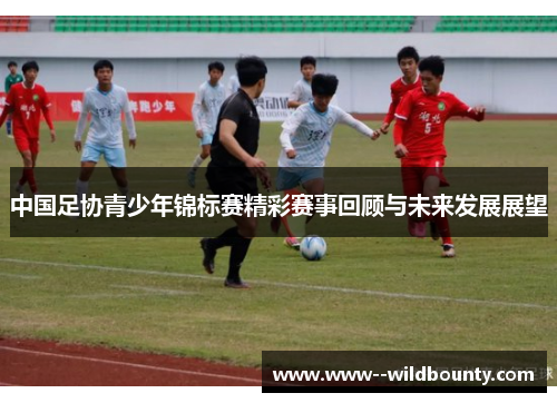 中国足协青少年锦标赛精彩赛事回顾与未来发展展望