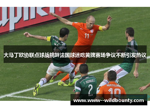 大马丁欧协联点球战挑衅法国球迷吃黄牌赛场争议不断引发热议